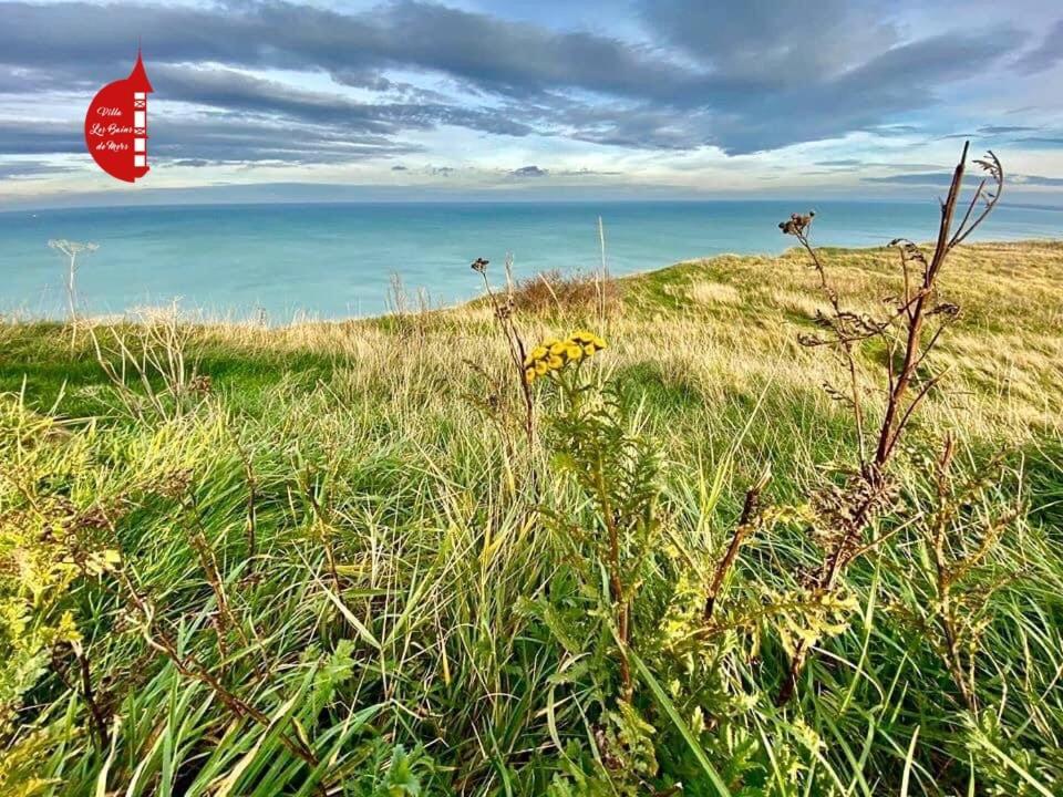 Villa Saint Jacques, Appart La Mer Le Tréport Eksteriør billede